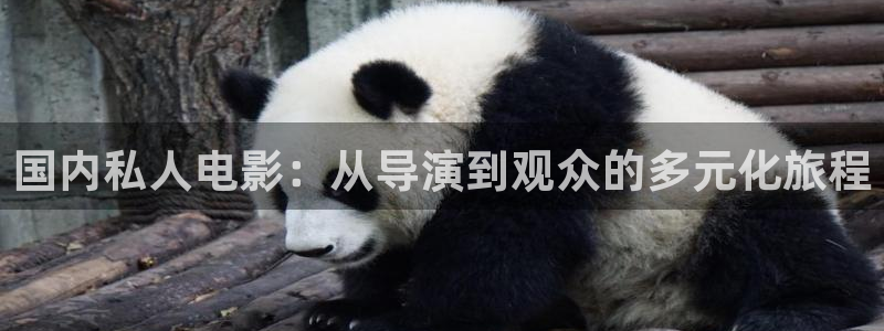 丝瓜视频在线免费观看：国内私人电影：从导演到观众的多元化旅程