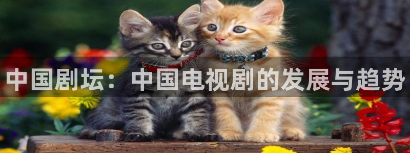 有棱丝瓜：中国剧坛：中国电视剧的发展与趋势