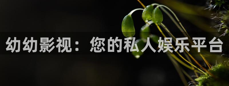 丝瓜影视大全：幼幼影视：您的私人娱乐平台